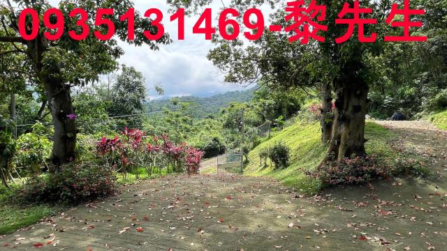 苗栗農地-7
