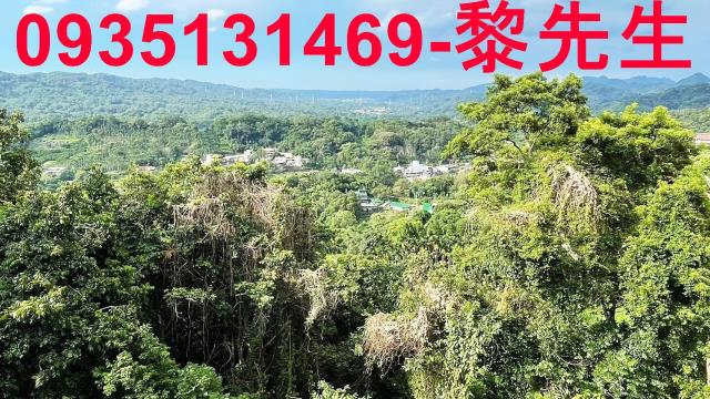 橫山林地-2