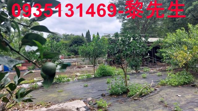 橫山農地-3