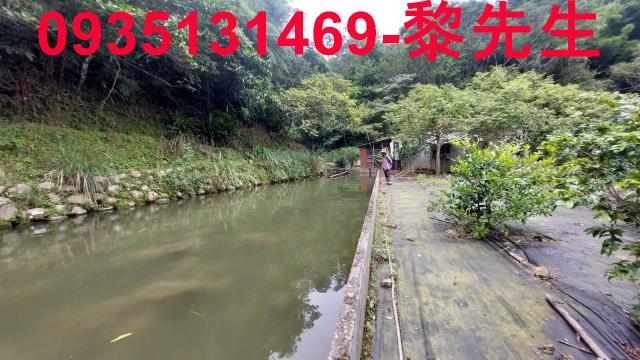 橫山農地-6