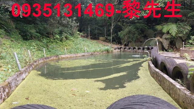 橫山農地-7