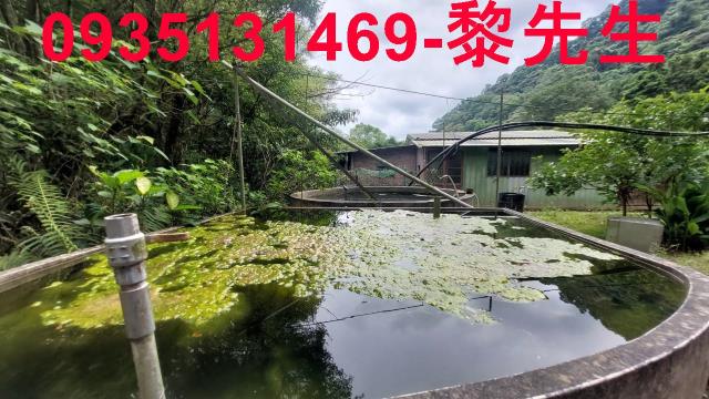 新竹橫山農地-9