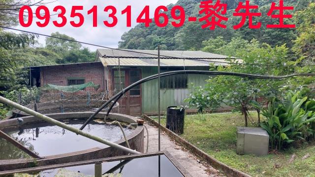 新竹橫山農地-10