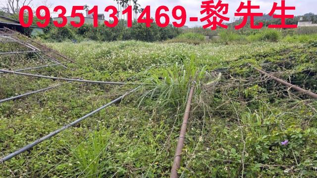 新竹關西農地-12