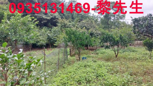 新竹農地-12