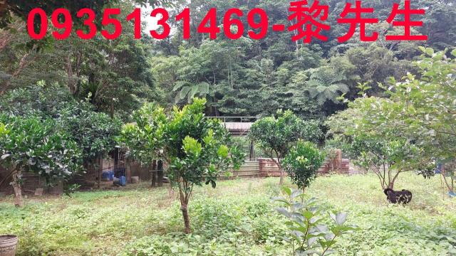 新竹農地-3
