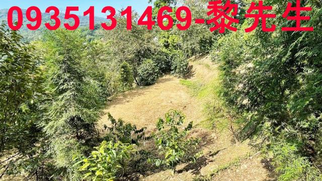 新竹橫山林地-0