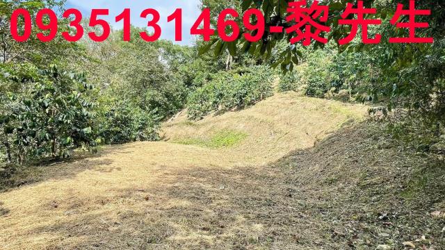 新竹橫山林地-13