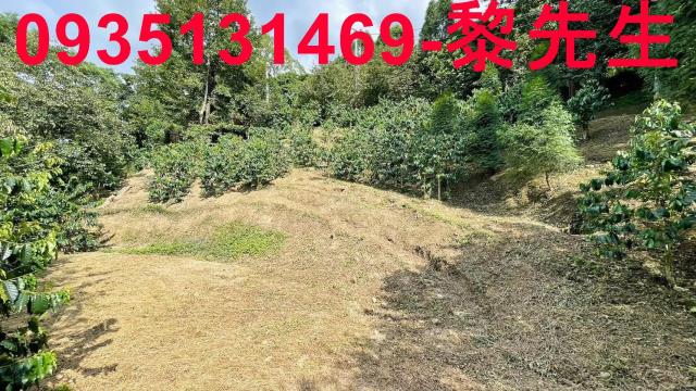 新竹橫山林地-14