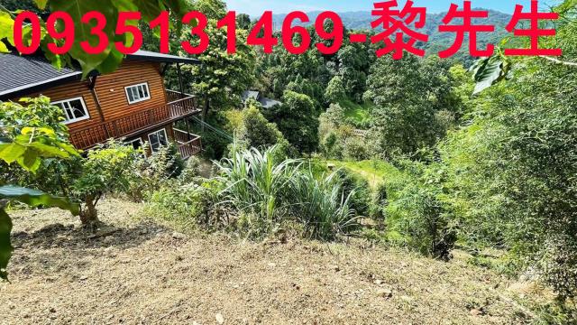 新竹橫山林地-1