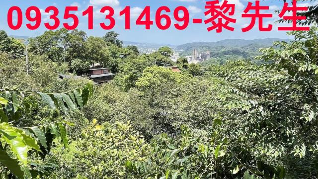 新竹橫山林地-3
