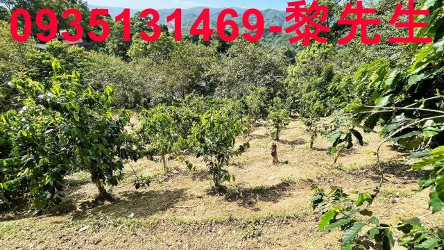 新竹橫山林地-6