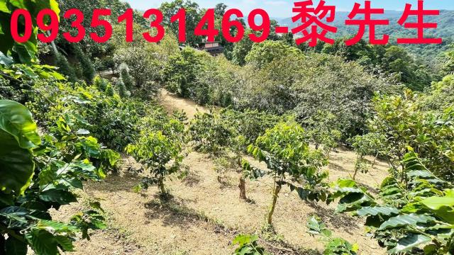 新竹橫山林地-7