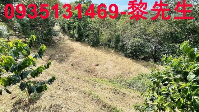 新竹橫山林地-8