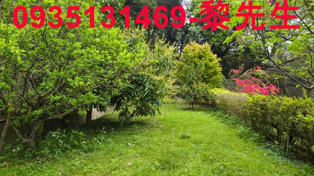 北埔農地-12