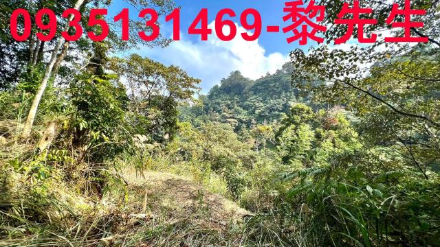 新竹橫山農地-11