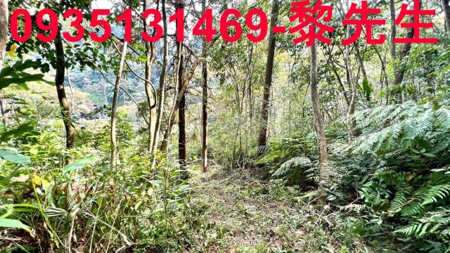 新竹橫山農地-6