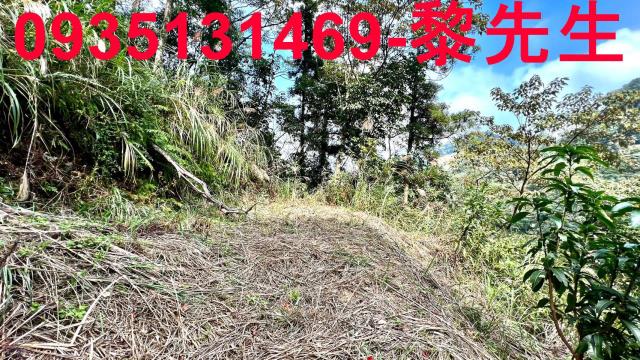 新竹橫山農地-7