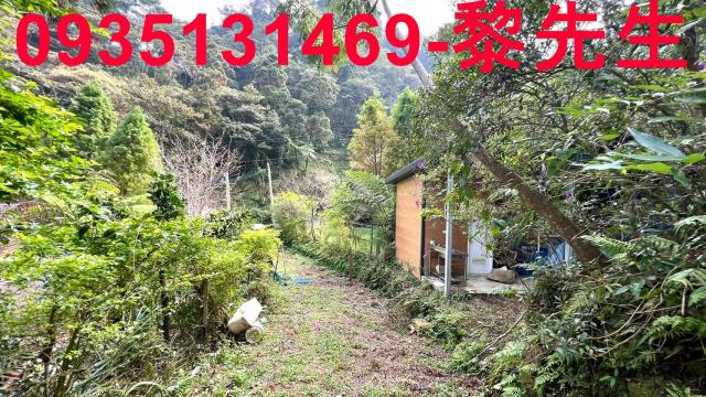 新竹橫山農地-8