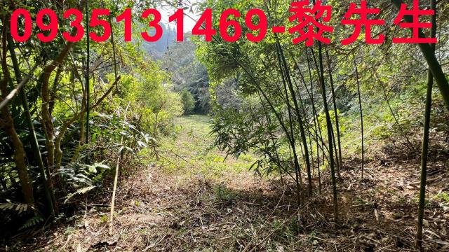 新竹農地-8