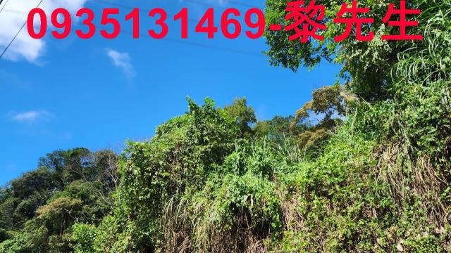 新竹芎林林地-9