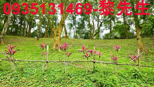 南庄農地-1