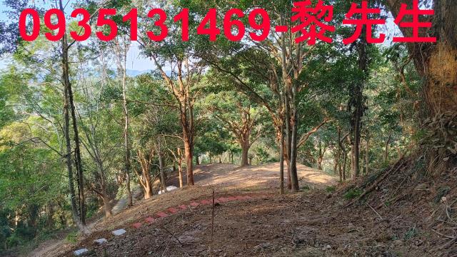 新竹北埔農地-2