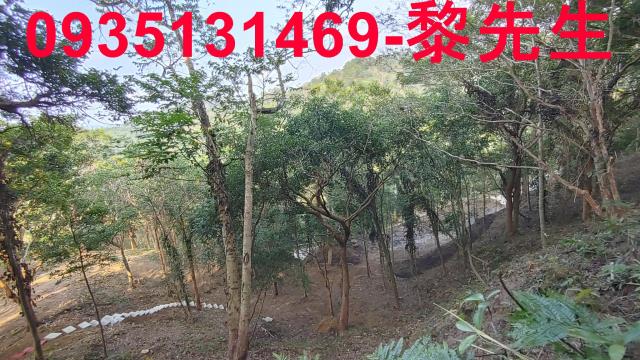新竹北埔農地-7