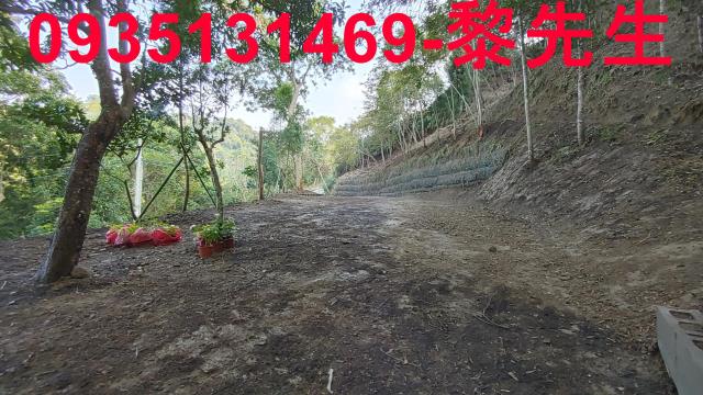新竹北埔農地-8