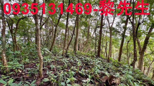 新竹橫山農地-11