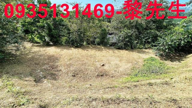 新竹林地-9
