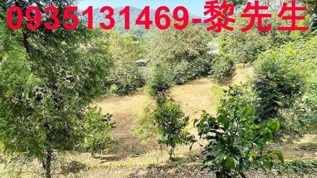 新竹林地-10