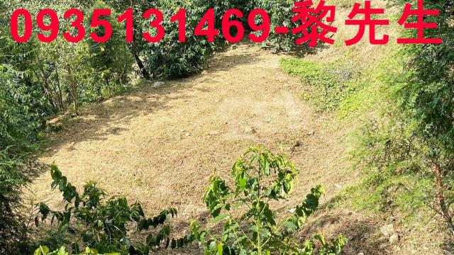 新竹林地-11
