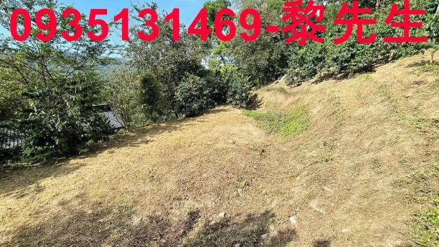 新竹林地-13