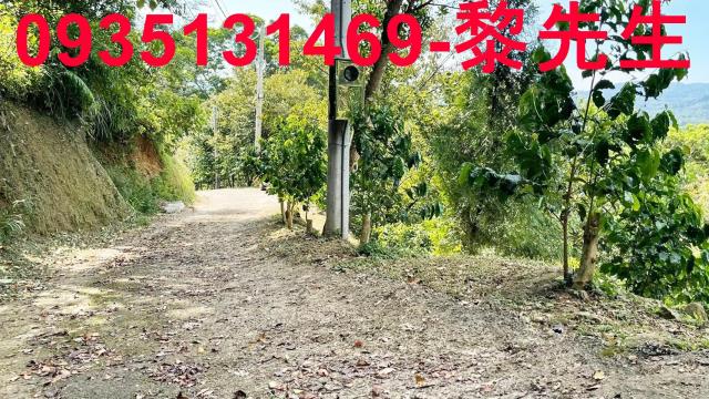 新竹林地-4