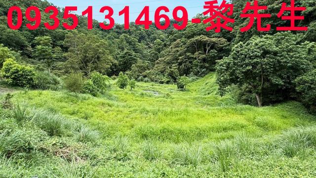 苗栗南庄農地-4