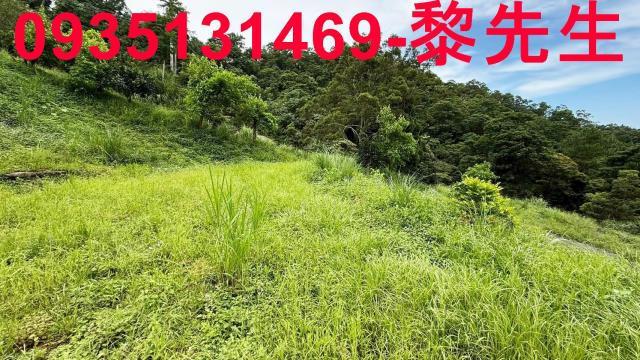 苗栗南庄農地-6