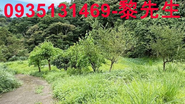 苗栗南庄農地-10
