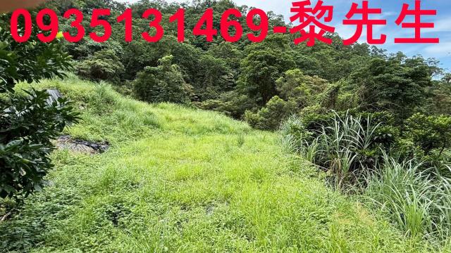 苗栗南庄農地-11