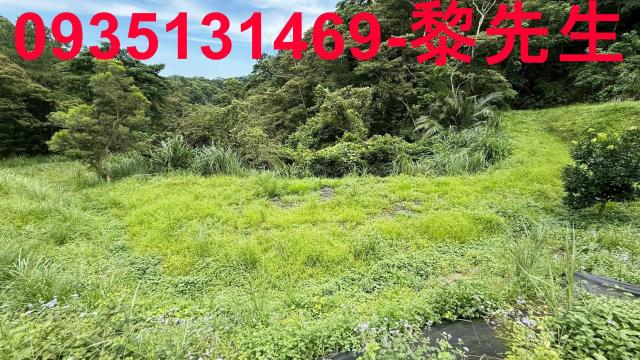 苗栗南庄農地-12