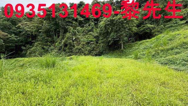 苗栗南庄農地-13