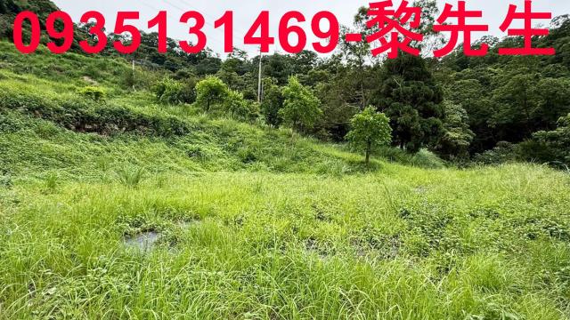 苗栗南庄農地-4