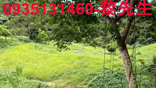 苗栗南庄農地-5