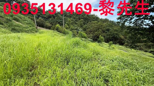 苗栗南庄農地-7