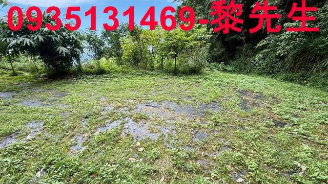 苗栗南庄林地-12