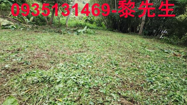 新竹橫山農地-14