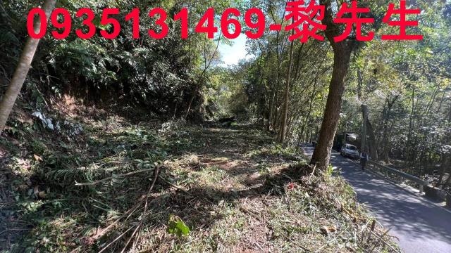 新竹橫山農地-5