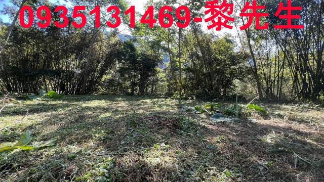 新竹橫山農地-7