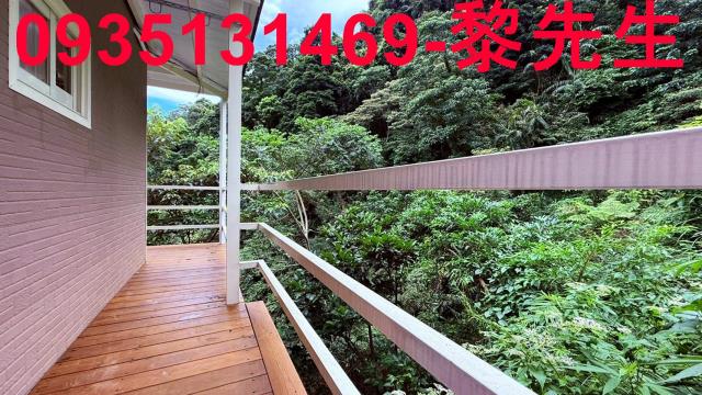 苗栗南庄林地-10