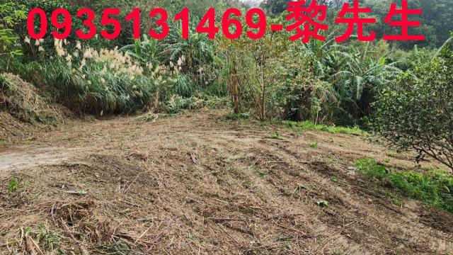 新竹竹東農地-10